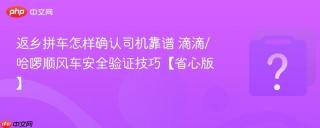 返乡拼车怎样确认司机靠谱 滴滴/哈啰顺风车安全验证技巧【省心版】
