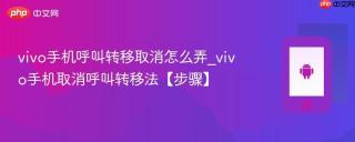 vivo手机呼叫转移取消怎么弄_vivo手机取消呼叫转移法【步骤】