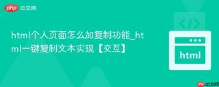 html个人页面怎么加复制功能_html一键复制文本实现【交互】
