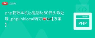 php获取本机ip返回fe80开头咋处理_phplinklocal转可用ip【方案】