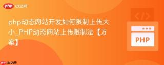 php动态网站开发如何限制上传大小_PHP动态网站上传限制法【方案】