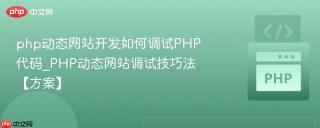 php动态网站开发如何调试PHP代码_PHP动态网站调试技巧法【方案】