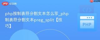 php按制表符分割文本怎么写_php制表符分割文本preg_split【技巧】