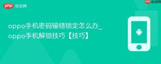 oppo手机密码输错锁定怎么办_oppo手机解锁技巧【技巧】