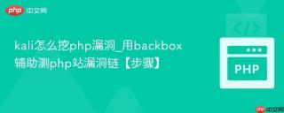 kali怎么挖php漏洞_用backbox辅助测php站漏洞链【步骤】