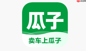 瓜子卖车官方网站首页 瓜子二手车登录入口链接