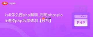 kali怎么挖php漏洞_利用phpsploit维持php后渗透洞【技巧】