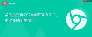 紫鸟浏览器2026最新官方入口_支持多端同步使用