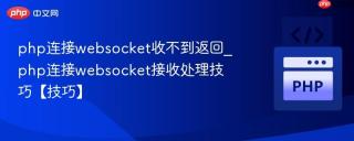 php连接websocket收不到返回_php连接websocket接收处理技巧【技巧】