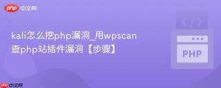 kali怎么挖php漏洞_用wpscan查php站插件漏洞【步骤】