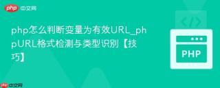 php怎么判断变量为有效URL_phpURL格式检测与类型识别【技巧】
