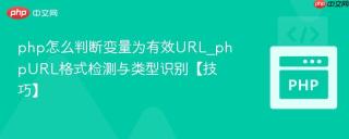 php怎么判断变量为有效url_phpurl格式检测与类型识别【技巧】