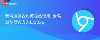 紫鸟浏览器如何在线使用_紫鸟浏览器官方入口2026