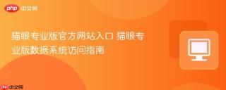 猫眼专业版官方网站入口 猫眼专业版数据系统访问指南