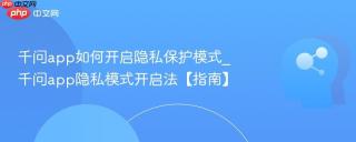 千问app如何开启隐私保护模式_千问app隐私模式开启法【指南】