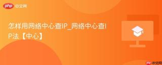 怎样用网络中心查IP_网络中心查IP法【中心】