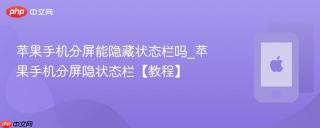 苹果手机分屏能隐藏状态栏吗_苹果手机分屏隐状态栏【教程】