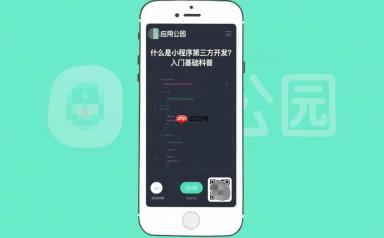什么是小程序第三方开发?入门基础科普!