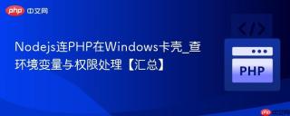 Nodejs连PHP在Windows卡壳_查环境变量与权限处理【汇总】