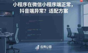 小程序在微信小程序端正常,抖音端异常?适配方案!