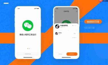 小程序在微信小程序端正常,抖音端异常?适配方案!