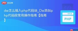 dw怎么插入php代码块_Dw添加php代码段常用操作指南【指南】