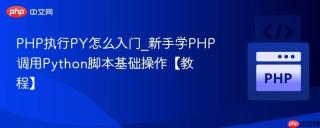PHP执行PY怎么入门_新手学PHP调用Python脚本基础操作【教程】