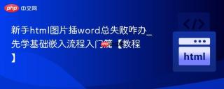 新手html图片插word总失败咋办_先学基础嵌入流程入门篇【教程】