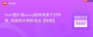 html图片插word旋转角度不对咋修_用旋转手柄校准法【指南】