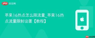 苹果16热点怎么限流量_苹果16热点流量限制设置【教程】