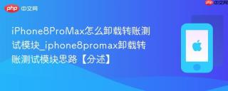 iPhone8ProMax怎么卸载转账测试模块_iphone8promax卸载转账测试模块思路【分述】