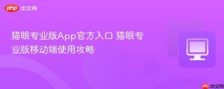猫眼专业版App官方入口 猫眼专业版移动端使用攻略