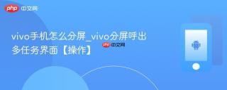 vivo手机怎么分屏_vivo分屏呼出多任务界面【操作】