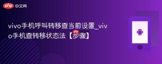 vivo手机呼叫转移查当前设置_vivo手机查转移状态法【步骤】