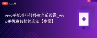 vivo手机呼叫转移查当前设置_vivo手机查转移状态法【步骤】