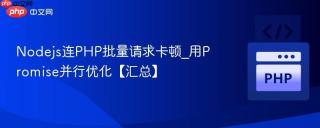 Nodejs连PHP批量请求卡顿_用Promise并行优化【汇总】
