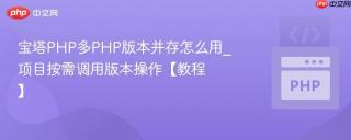 宝塔PHP多PHP版本并存怎么用_项目按需调用版本操作【教程】