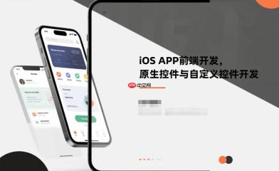 iOS APP前端开发,原生控件与自定义控件开发