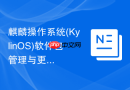 麒麟操作系统(KylinOS)软件包管理与更新详解