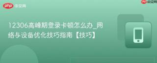 12306高峰期登录卡顿怎么办_网络与设备优化技巧指南【技巧】