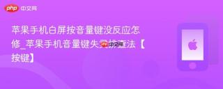 苹果手机白屏按音量键没反应怎修_苹果手机音量键失灵排查法【按键】