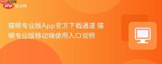 猫眼专业版App官方下载通道 猫眼专业版移动端使用入口说明