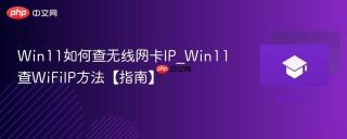 Win11如何查无线网卡IP_Win11查WiFiIP方法【指南】
