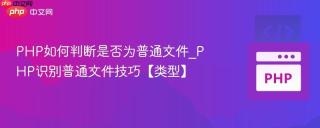 PHP如何判断是否为普通文件_PHP识别普通文件技巧【类型】