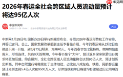 荣耀手机上线YOYO新春归家指南功能 可规划旅途等