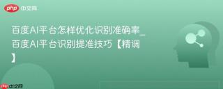 百度AI平台怎样优化识别准确率_百度AI平台识别提准技巧【精调】