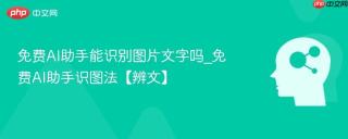 免费AI助手能识别图片文字吗_免费AI助手识图法【辨文】