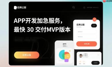 APP开发加急服务,30天交付MVP版本!