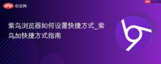紫鸟浏览器如何设置快捷方式_紫鸟加快捷方式指南
