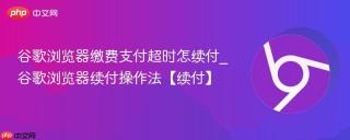 谷歌浏览器缴费支付超时怎续付_谷歌浏览器续付操作法【续付】